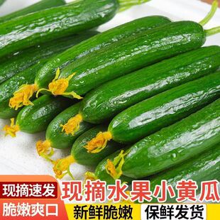 �����u��ɽ�|�S�����rС�S��ˮ��С����߲��r�Һ����ԬFժ�F�l