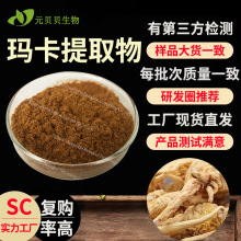 浓缩玛卡粉实力工厂现货黑玛咖提取物散装原料现货批发玛卡提取物