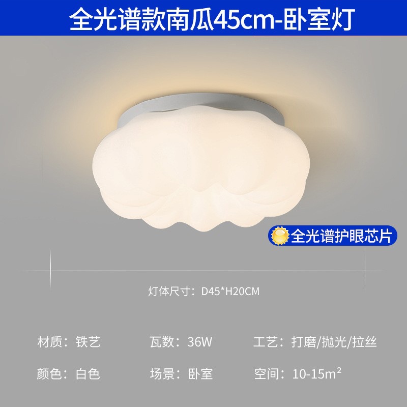 Luz de techo sala de estar de alta calidad luz de espectro completo moderno simple atmósfera led dormitorio paquete de lámparas Zhongshan