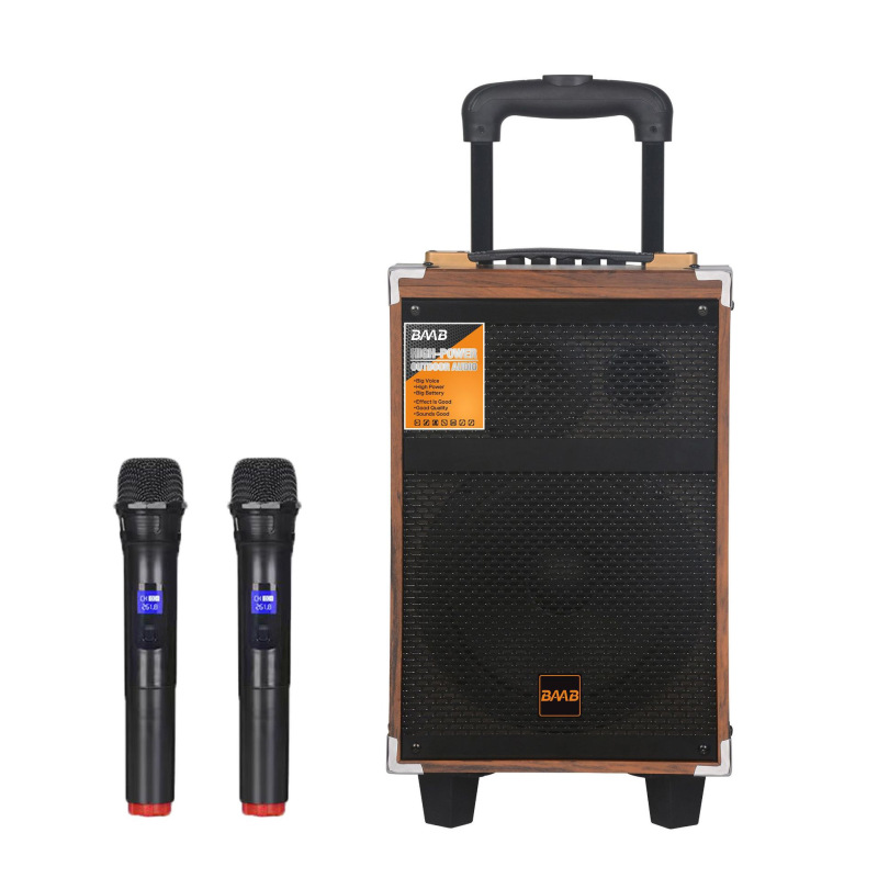 広場のダンスの音響の屋外のk歌のスピーカーの大出力の木製は無線のマイクのbluetoothのレバーの8インチの移動の音響を持ちます。|undefined
