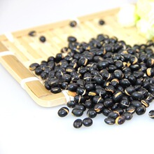 低温烘焙熟黑豆（黄心） 5斤/包  五谷磨坊原料