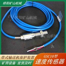 ƤCGSC10ٶȂ VÎʽݔ͙C ꖵVɽCе