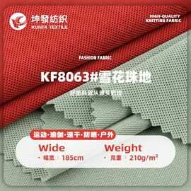 210g雪花珠地布料 全涤鸟眼透气POLO衫网眼布 春夏运动服针织面料