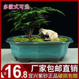 宜兴紫砂花盆多肉桌面花卉绿植盆器陶瓷绿植透气简约釉盆