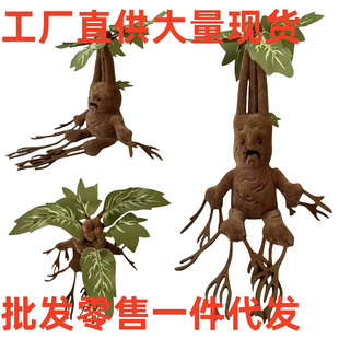 ���R�d���N �������� Mandrake ��������  ����ë�q��߹�����ż