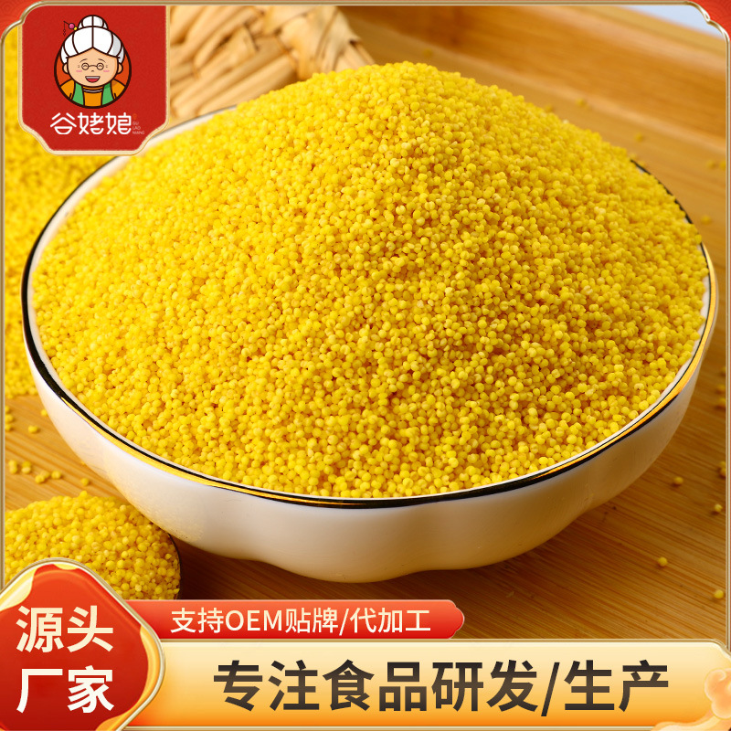 加工定制正宗山西黄小米粗粮1斤月子米五谷杂粮批发小黄米新米