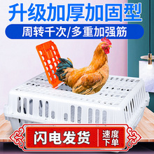 鸡笼周转箱鸡笼子运输笼周转家用养鸡笼养殖笼鸡笼塑料笼鸡筐方便