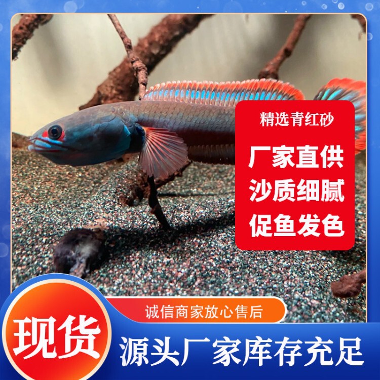 No-Wash Thunder Dragon Bottom Sand, Gray-Blue Sand, Blue-Red Sand, Dark Gray-Blue Sand, Blue-Gray-Red Sand, Seven-Color Goby Native Fish Tank Sand No-Wash Thunder Dragon Bottom Sand, Gray-Blue Sand, Blue-Red Sand, Dark Gray-Blue Sand, Blue-Gray-Red Sand, Seven-Color Goby Native Fish Tank Sand