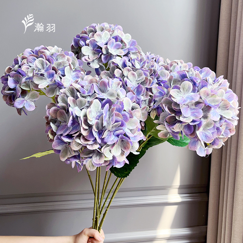 보라색 녹색