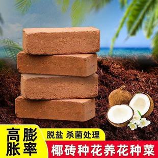 Ҭ�uҬ��Ҭ��Ҭ�۴u �̨�N�˷Nֲ���o���m�����I�B�� �����|��