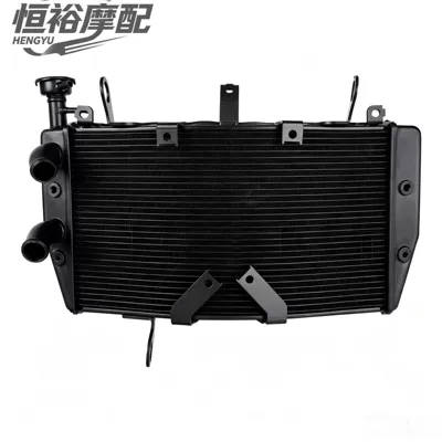 Suitable for Ducati Monster 1200/821 and Lead Goose 939/950 models; cooling radiator and water tank assembly, 2014-2021 (Water tank) - high-quality-water-tank