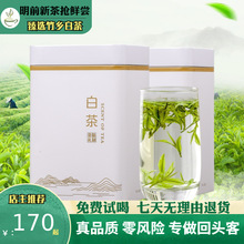 安吉特产竹乡高山白茶2024年新茶明前白茶茶叶礼盒装绿茶500g散装