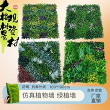 �羳����ֲ��Gֲ�������ϻ������ƺ��ɫ���m��ƺ�b��쾰��