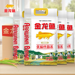 �����~���|�z����5KG��ͥ�b����10��i����ճ��������Ϸ����L��