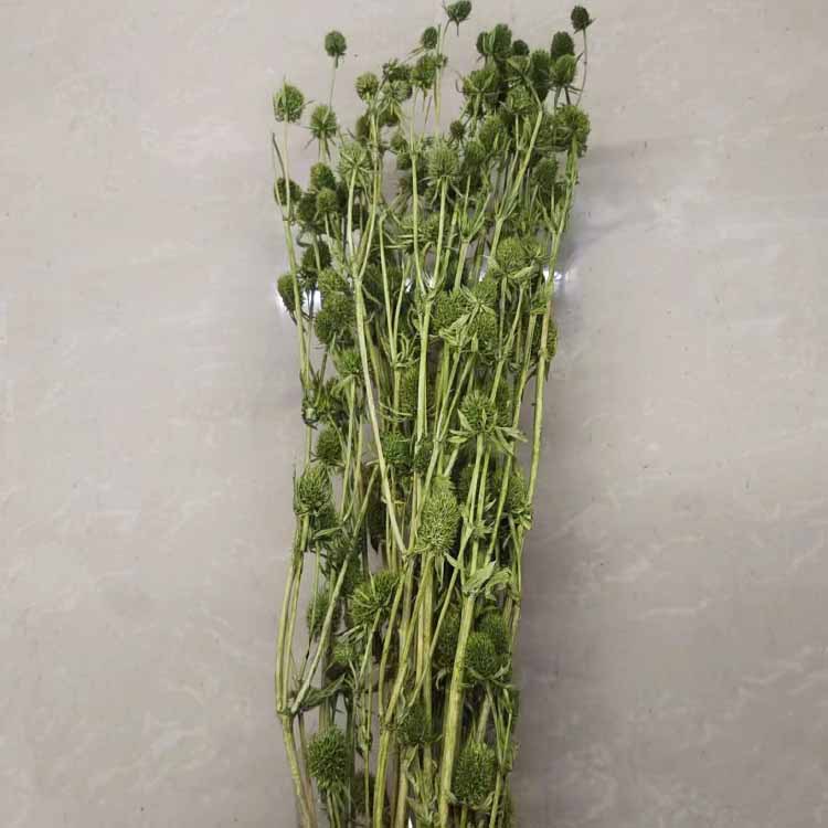 올리브 그린 [약 100]