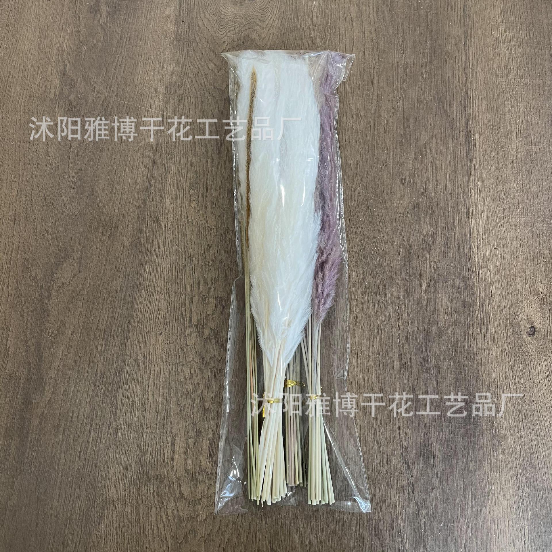 2021_10_29_15_54_IMG_7619