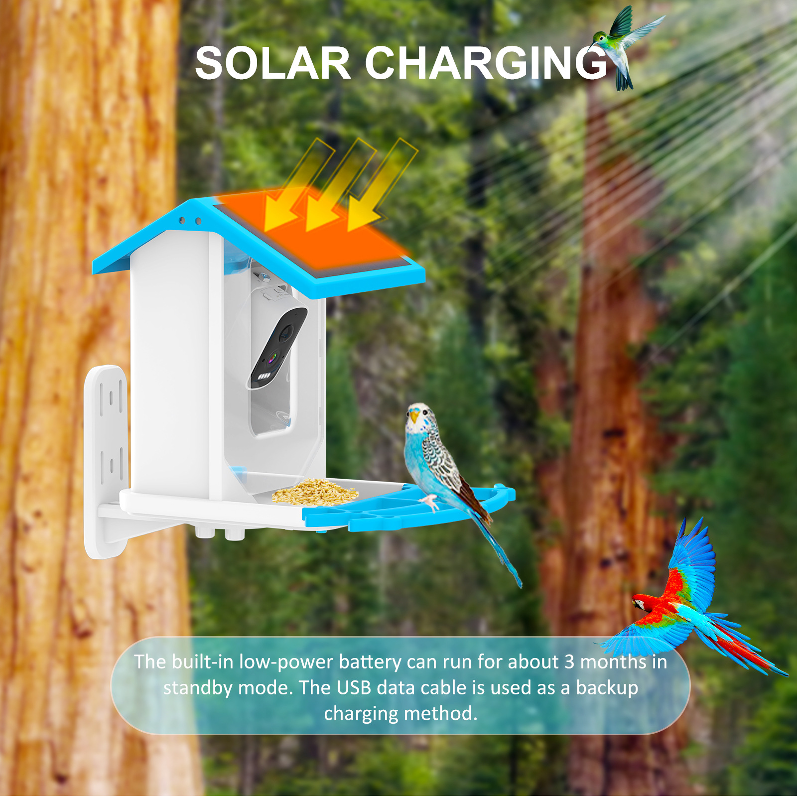 Comedero inteligente para pájaros con IA que reconoce más de 10,000 especies de aves, alimentador de mascotas de 5MP con energía solar, directo de fábrica.