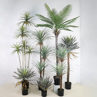 ����Gֲ���ԪM�~��Ѫ��A�~�����m�z�m���Rβ�Fᘿ��F�䙻���b�