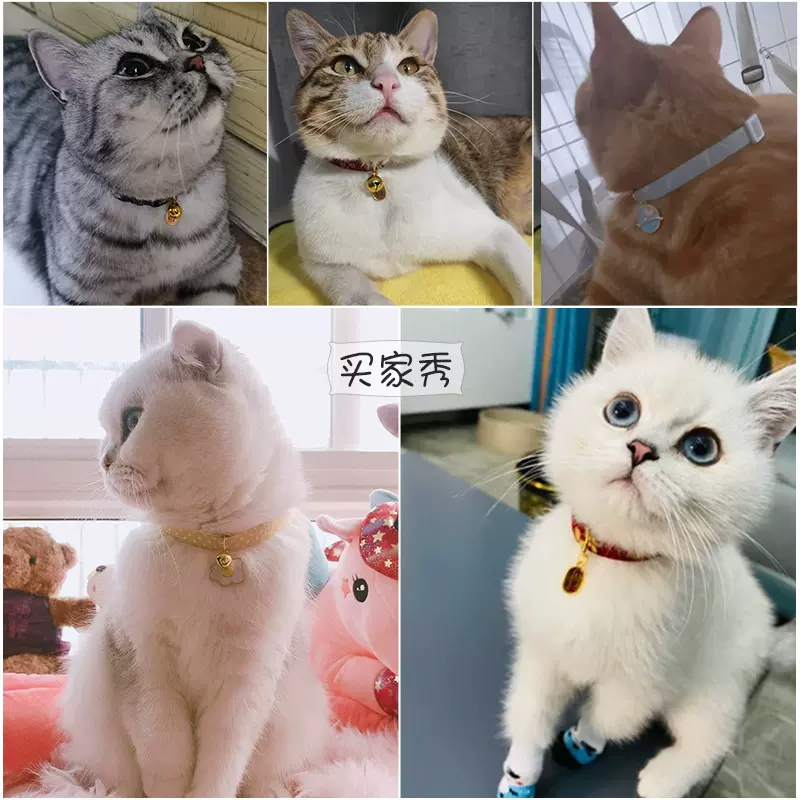 猫咪铃铛宠物项圈可爱猫咪小型犬幼猫幼犬通用招财喜庆可调节