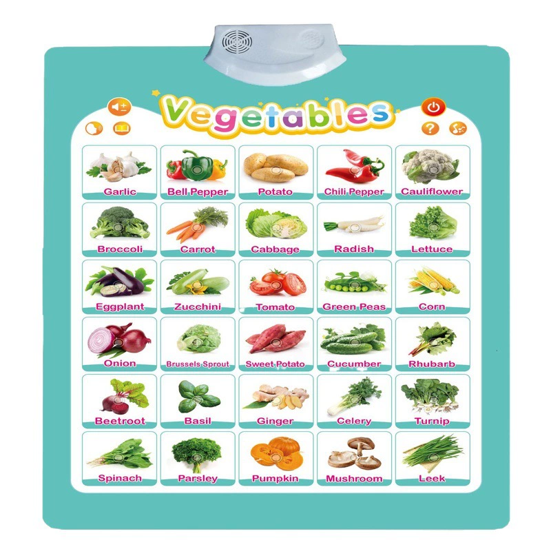 Экспортная полная английская аудио настенная таблица, говорящая на английском языке, настенная таблица, точка внешней торговли, звук чтения, английский алфавит, британский стандартный производитель