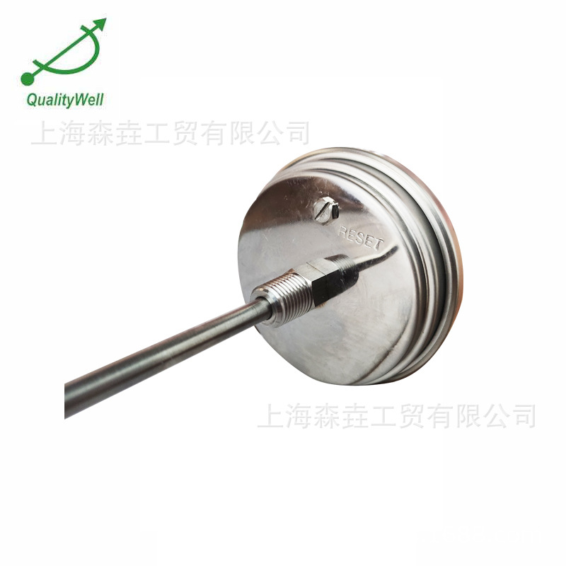 ��������ʽ��β̽��˫�����¶ȼ� �ѷ��� ȫSS304���� T300-S