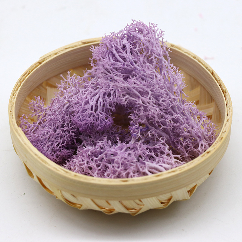 Purple 10g