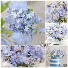 �����ҷN���ļ��׷N�����޸�������������ͥԺ�̨���Ի��ܻ��N��