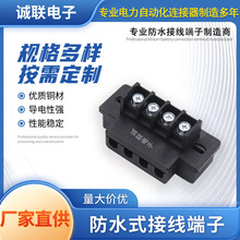 防水接线端子2P3P4P新能源充电桩接线柱螺钉锂电端子厂家直销