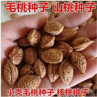 �²�ë�ҷN��ë�Ҙ� ë�Һ� ��������ɽ�� ���Ҙ�N �Ә�N��