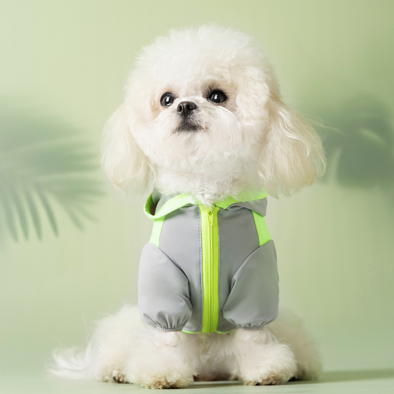 Perro de verano al aire libre helado protector solar con sombrero protector solar perros pequeños y medianos dos patas de color gato ropa de perro mascota