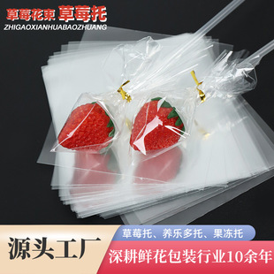 ��ݮ�� �ֹ�diy���b������ʳ�B�������а�����ˮ����ݮ�����̶���