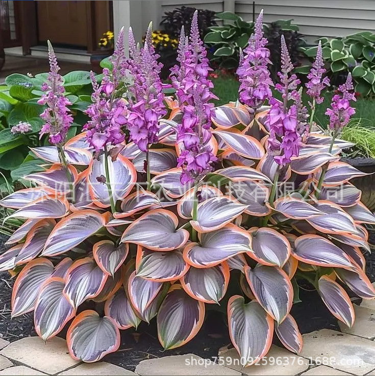 微信图片_20251025114306_1325_56