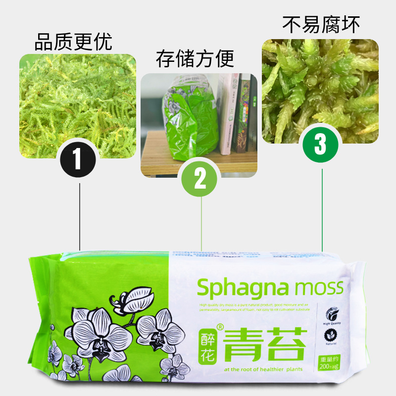 干苔藓水苔蝴蝶兰花专用营养土植物爬宠乌龟冬眠垫材铁皮石斛种植