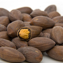 羳؛鼷N 鼘N  ļN鼷N