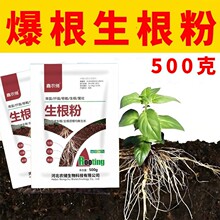 果蔬蔬菜生根粉植物生根壮苗剂树木移栽扦插生根粉500g正品