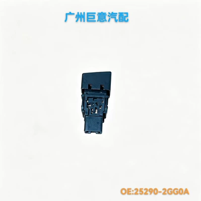 Other power supply, ignition system with Nissan Venucia