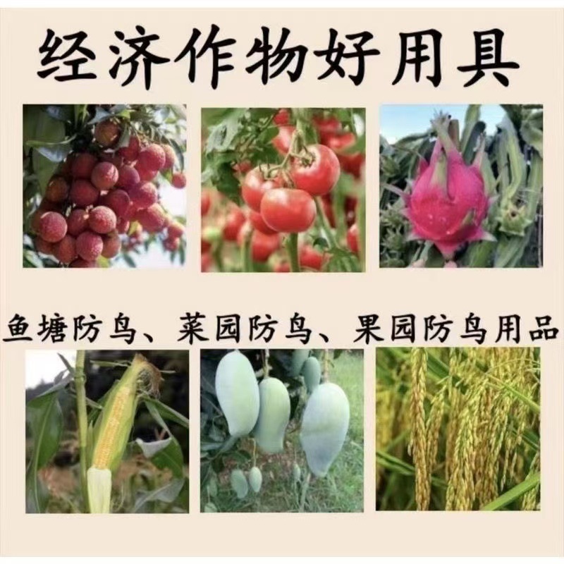 微信图片_20241109215839