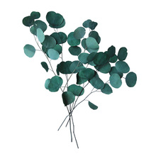 ins�ɻ�����DIYС���·��m�����W���R�dС�JȔ��ϸɻ����l