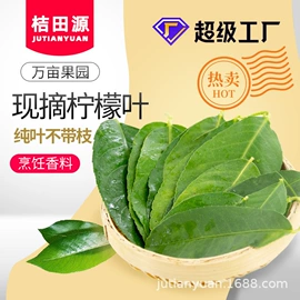 果蔬汁;柠檬;乌龙茶