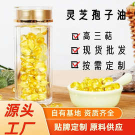 高含量灵芝孢子油软胶囊贴牌代加工源头工厂灵芝孢子油原料供应