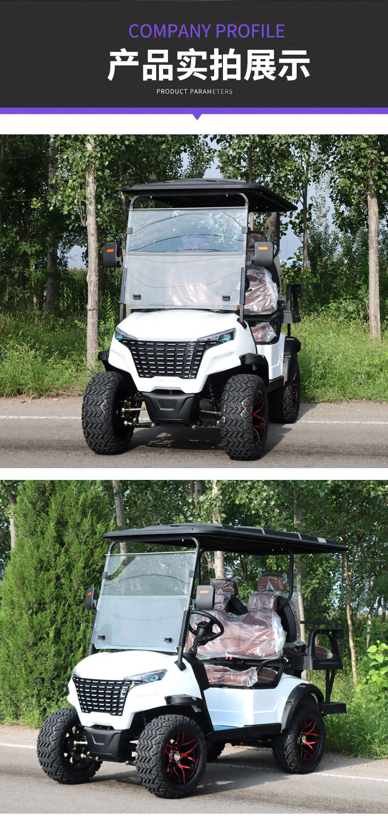 Golf Carts, Tourist Park Sightseeing Vehicles, Hotel Electric Golf Carts