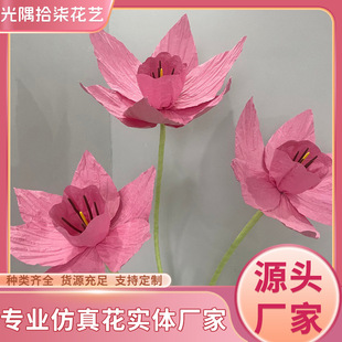��ˇ���滨�̈���ꐔ[���zӰ�Ĕz����ˇ�g�����b���ˮ�ɻ�