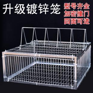 New Galvanized Encrypted Pigeon Cage with Automatic Door for Outdoor Use, Only Enters and Does Not Exit, Continuous Pigeon Cage for Pigeon Collection