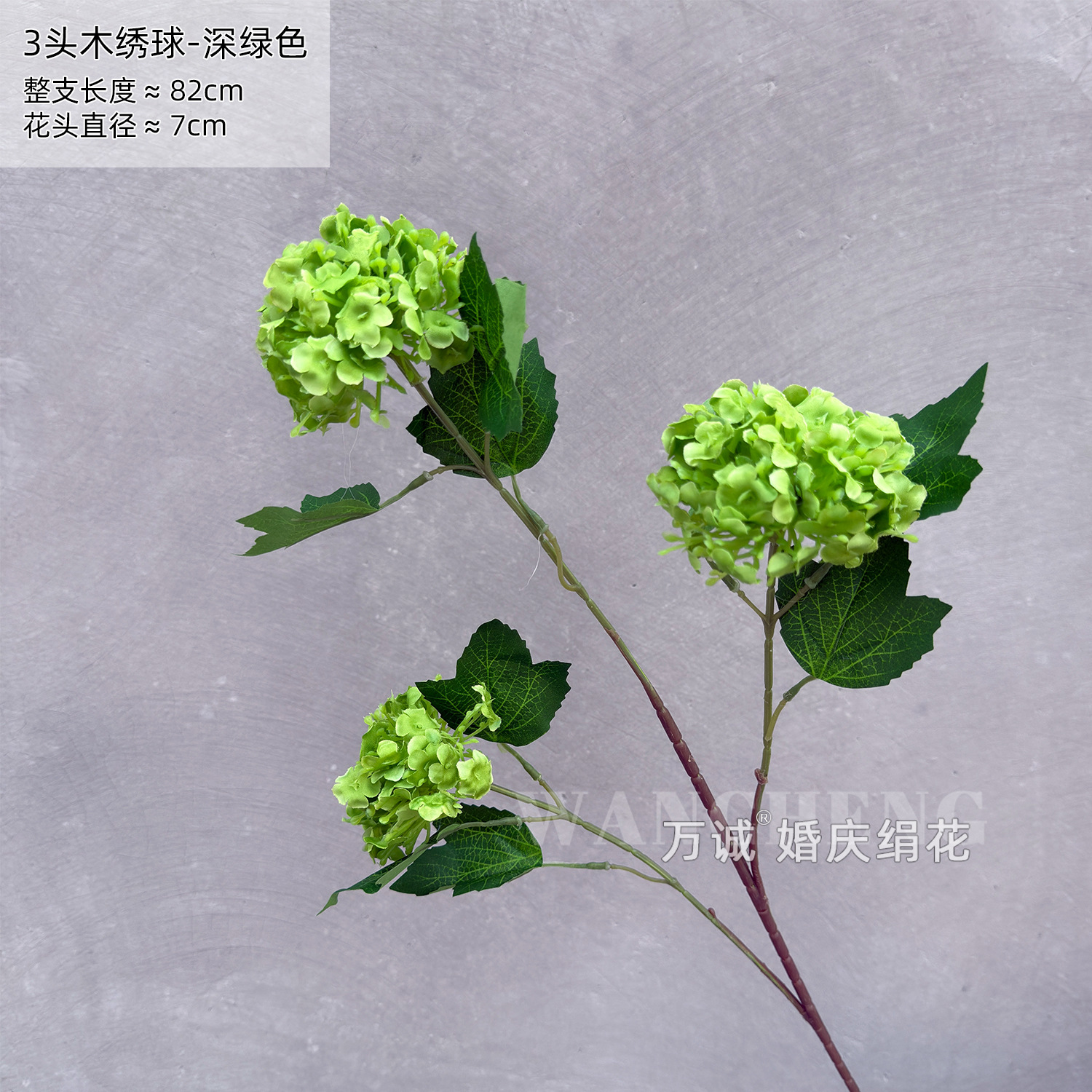 3-head wood hydrangea dark green