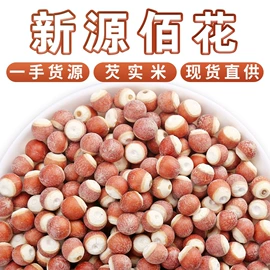 花果茶;代用/养生茶;其他药食同源
