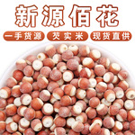 批发鸡头米芡实干货新货肇庆芡实半开碎瓣可打粉低温烘焙芡实干货