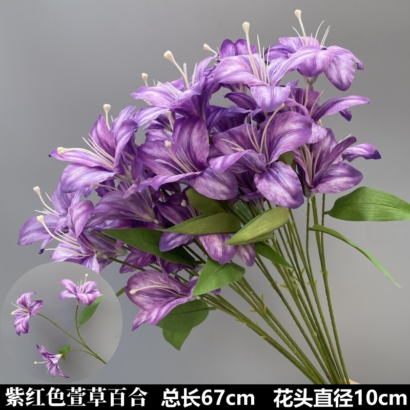 갈색 보라색 헤메로칼리스 백합