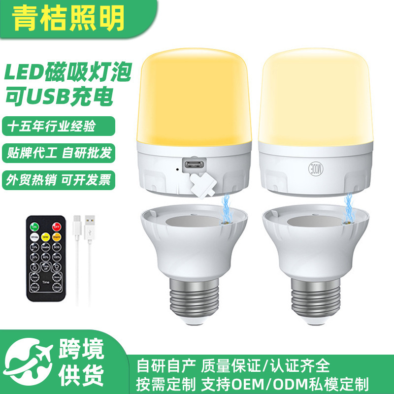 Rechargeable Battery-Powered Light Bulb with Remote Control, Outdoor and Indoor Multi-Scenario Night Light, Led Bulb, Ac/Dc