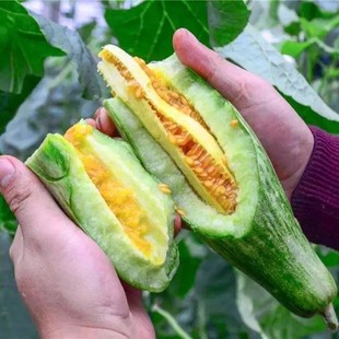 ����������ϷN�� �����ļ������ˮ���� ����Ƥ���ִ��̨����