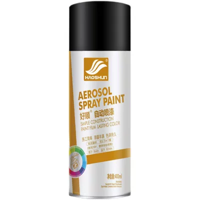 Avtomobil boyası Paint